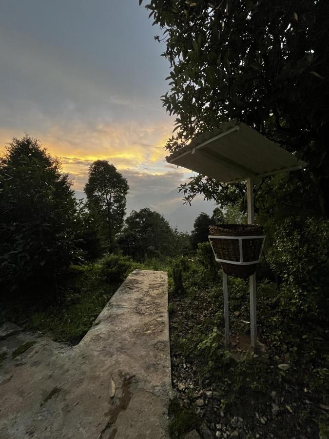 The Nettle And Fern Farmstay Pelling Exterior foto