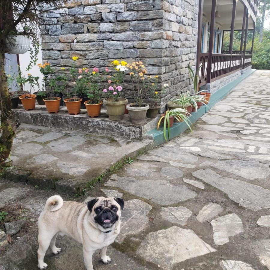 The Nettle And Fern Farmstay Pelling Exterior foto