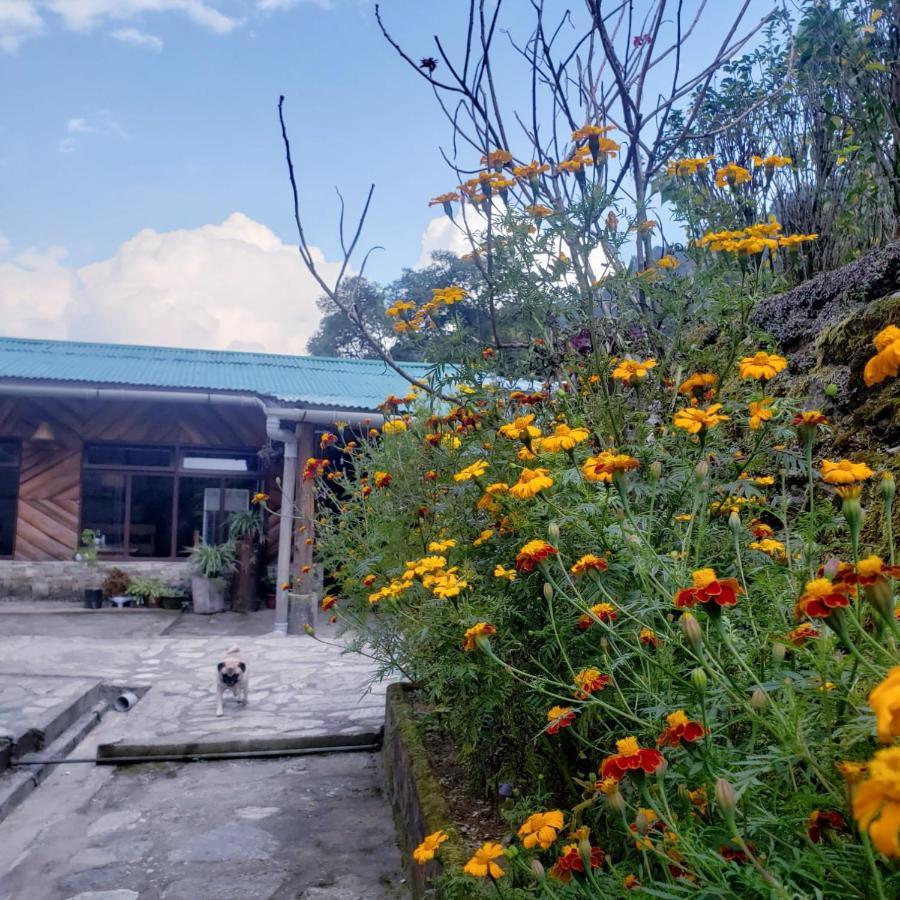 The Nettle And Fern Farmstay Pelling Exterior foto